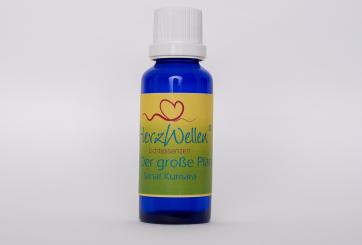 30 DER GROSSE PLAN - Sanat Kumara 