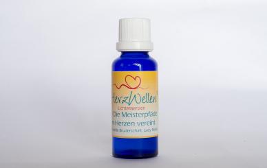 21  DIE MEISTERPFADE IM HERZEN VEREINT - Lady Nada und die weiße Bruderschaft 