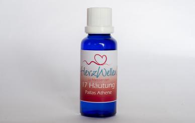 17 HÄUTUNG - Pallas Athene 