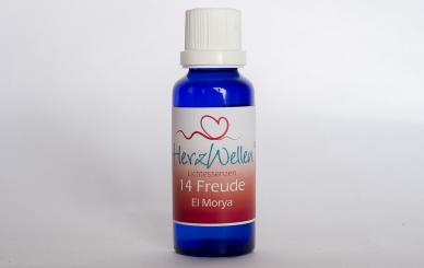 14 FREUDE - El Morya 