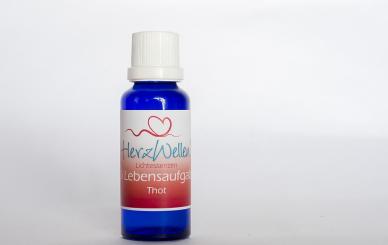 16 LEBENSAUFGABE - Thot 