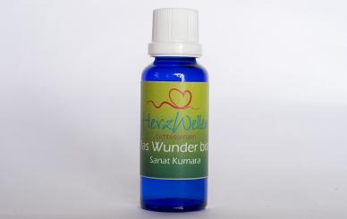 25 DAS WUNDER BIST DU - Sanat Kumara 