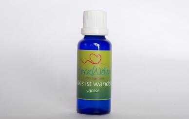 44 ALLES IST WANDELBAR - LAOTSE 