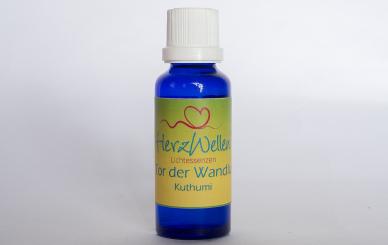 36 TOR DER WANDLUNG - Kuthumi 