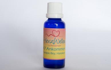 47 ANKOMMEN - Serapis Bey, Harakon 