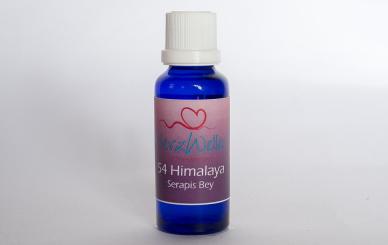 54 HIMALAYA Serapis Bey 