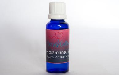 67 DAS DIAMANTENE HERZ - Silvana, Andromeda 