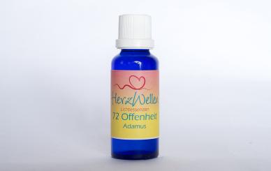 72 OFFENHEIT - Adamus 