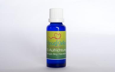 73 AUFRICHTUNG - Serapis Bey, Harakon 