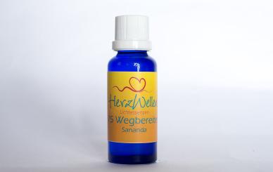 75 WEGBEREITER - Sananda 