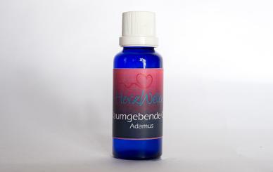 80 RAUMGEBENDE GRÖSSE - Adamus 