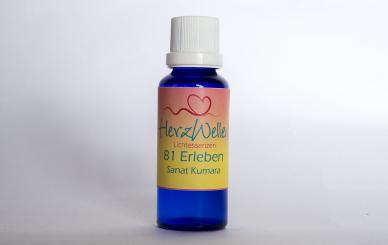 81 ERLEBEN - Sanat Kumara 