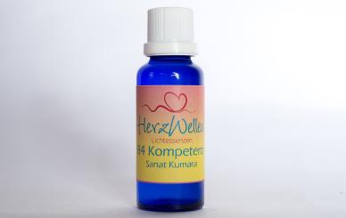 84 KOMPETENZ - Sanat Kumara 