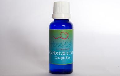 94 SELBSTVERSTÄNDNIS - Serapis Bey 