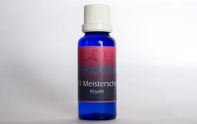 101 MEISTERSCHAFT - Kryon 