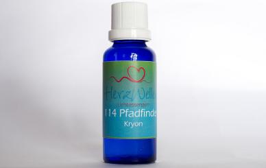 114 PFADFINDER - Kryon 