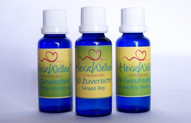 Basis-Set Konzentration 