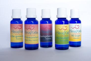 Basis-Set Beweglichkeit 