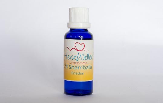 24 SHAMBALLA - Frieden 