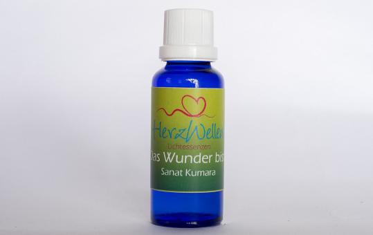 25 DAS WUNDER BIST DU - Sanat Kumara 