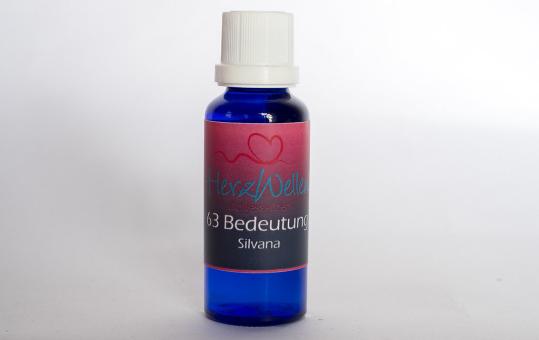 63 BEDEUTUNG - Silvana, Arcon 