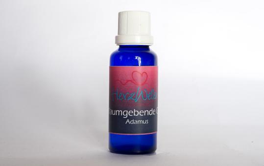 80 RAUMGEBENDE GRÖSSE - Adamus 