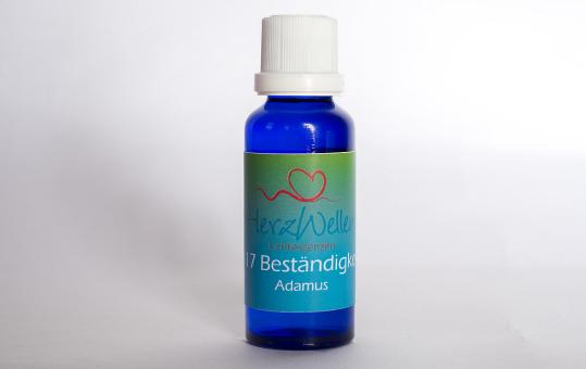 117 BESTÄNDIGKEIT – Adamus 